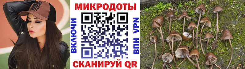 Псилоцибиновые грибы мухоморы KRAKEN ссылка Южноуральск наркошоп